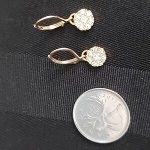 🎉FREE WITH PURCHASE🍹 Gold Tone and Rhinestone Flower Leaverback Earrings